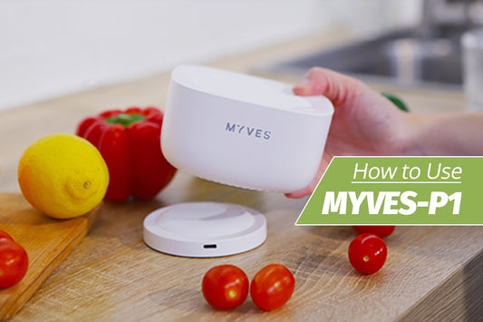 Myves Food Purification Box