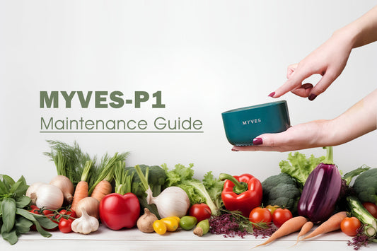 P1 Maintenance Guide: Extend lts Lifespan