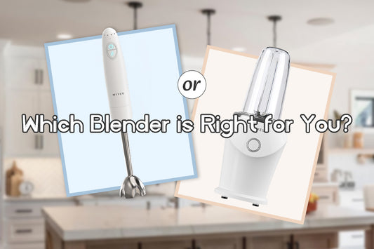 Immersion or Regular Blender, Which is Right for You?