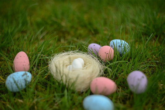 Eco-Friendly Easter: Simple Swaps for a Greener Holiday!