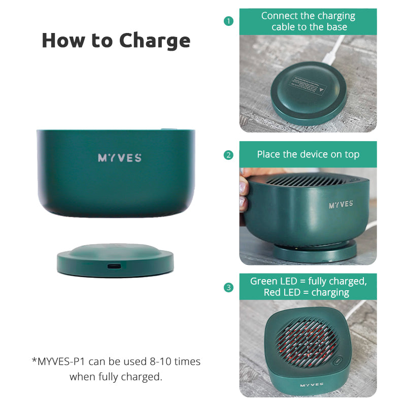 MYVES Food Purification Box - P1 | Fruits and Vegetables Purifier