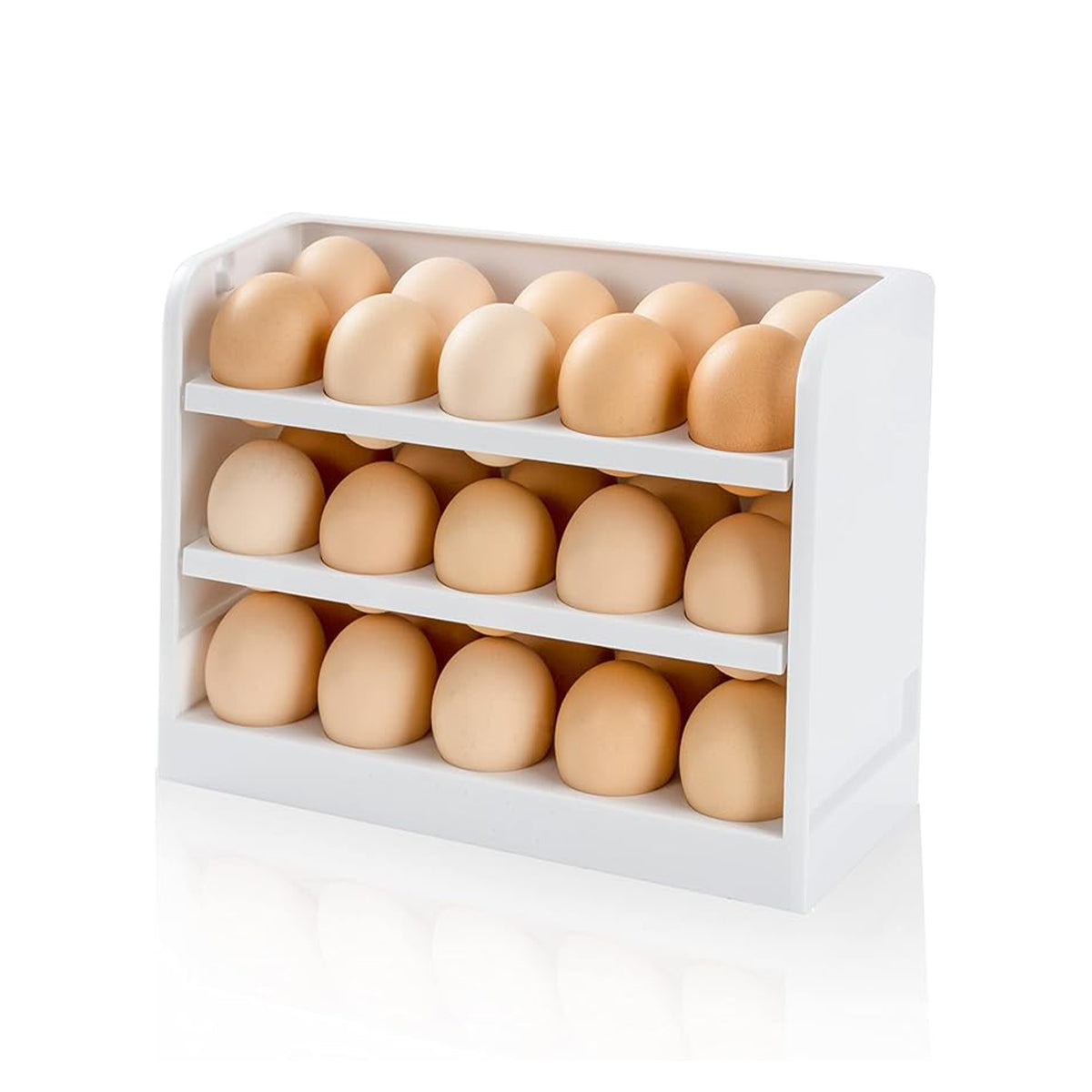 Egg Storage Box