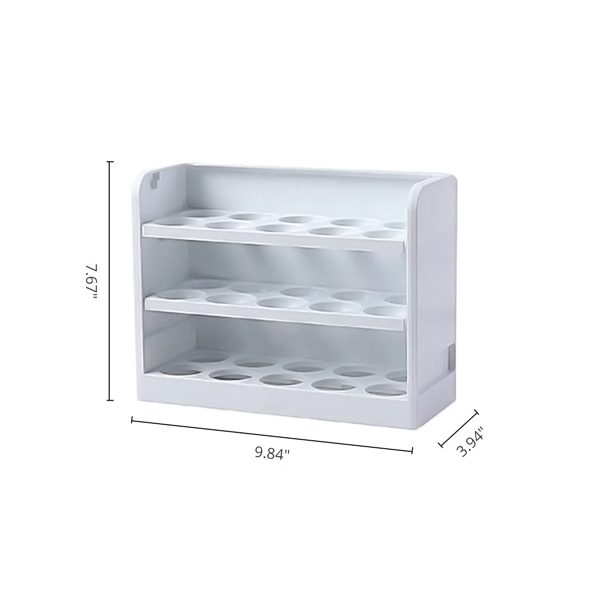 Egg Storage Box
