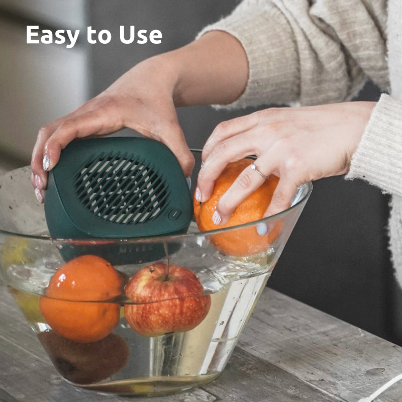 MYVES Food Purification Box - P1 | Fruits and Vegetables Purifier