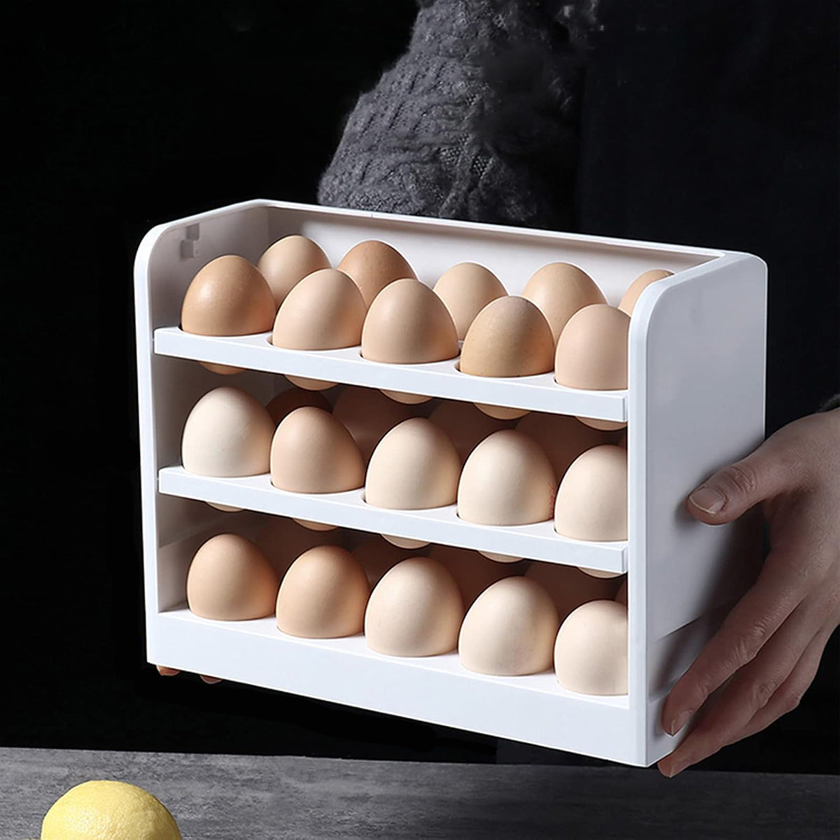 Egg Storage Box