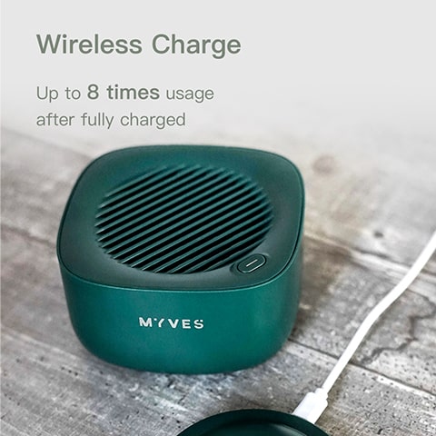 MYVES Food Purification Box - P1 | Fruits and Vegetables Purifier