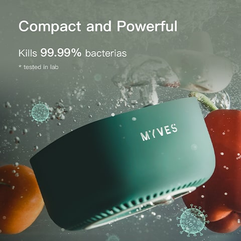MYVES Food Purification Box - P1 | Fruits and Vegetables Purifier