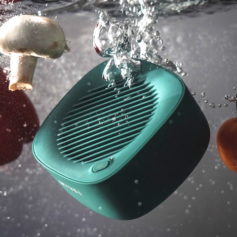 MYVES Food Purification Box - P1 | Fruits and Vegetables Purifier