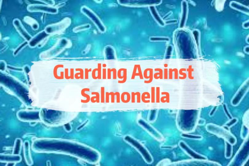 Food Safety: Guarding Against Salmonella